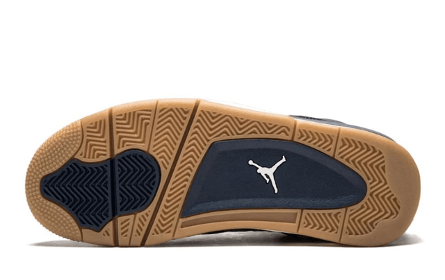 Air Jordan 4 Retro Dunk From Above