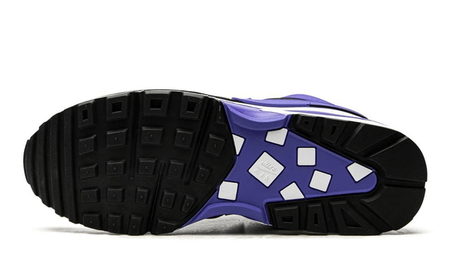 Nike Air Max BW OG Persian Violet (2021)